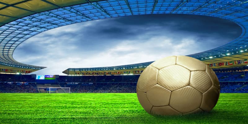 Đội hình ra sân Bongvip